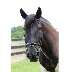 BRIDE DE CHEVAL CUIR ÉLEVÉ ANATOMIQUE DE LUXE Meilleure nouvelle bride anatomique Bride anatomique en cuir de cheval - Product Image 1