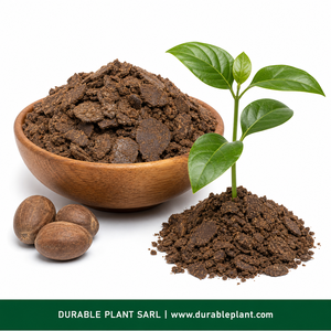 Engrais organique au beurre de karité et aux noix, conditionneur de sol NPK, engrais pour racines végétales, biomasse, exportation Afrique de l'Ouest - Product Image 2