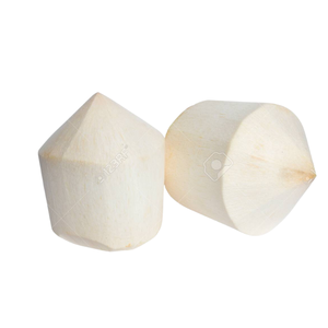 Vente en gros de noix de coco fraîches de style premium avec des pailles plaisir nutritif à des prix compétitifs - Product Image 3