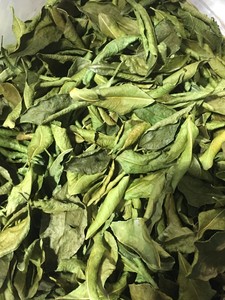 PLANT-SOURCED FEUILLES D'AGRUMES/PRODUIT PUR SEC/PROPRE - Product Image 4