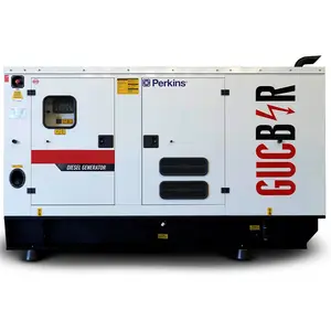 165 kVA 132 kW Generator Diesel Customize Options Alternators Silent Canopy Super Silent Canopy Trailer Type 50 Hertz Switchable