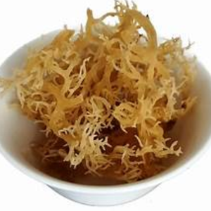 High Quality Best Price Dried Seamoss Wildcrafted Sea Moss with OEM Packaging from Vietnam - Product Image 2