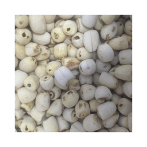 PRECIO COMPETITIVO SEMILLAS DE LOTO PELA BLANCA Y NEGRA/SEMILLAS DE LOTO SECAS - Product Image 6