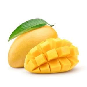 Extracto de Mango Silvestre en Polvo, Ingrediente de Fruta de Origen Vegetal, Grado Alimenticio para Alimentos y Bebidas Funcionales, Proveedor Mayorista OEM de Tailandia - Product Image 2