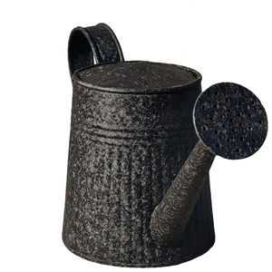 Arrosoir bleu vintage litre, bidon en acier galvanisé pour arrosage quotidien, pichet de style anglais classique avec 2 poignées - Product Image 5