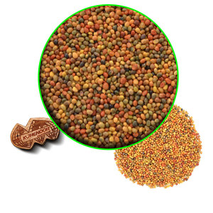 Trébol persa | Cultivo de animales de hierbas secas | Tipo de forraje de granja - Product Image 5