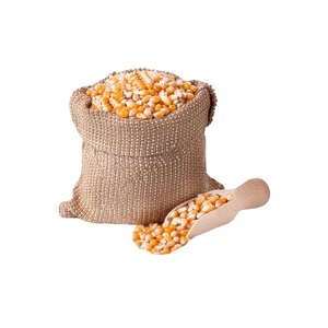 Fournisseur Maïs jaune/maïs pour l'alimentation animale à vendre - Product Image 3