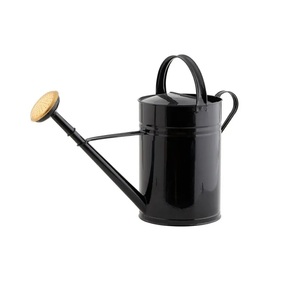 Metal watering <b>cane</b> customized size and color modern design metal watering can for use home hotel & <b>garden</b> water pot decorative - Product Image 6
