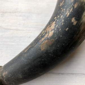 ÚLTIMO CUERNO VIKINGO ROYAL Jarra de beber hecha a mano genuina Cuerno vikingo para Mead Ale y cerveza para - Product Image 5