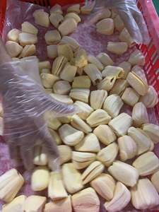 Jackfruit mûr congelé de la meilleure qualité provenant de fournisseurs vietnamiens à un prix abordable, exporté en vrac - Product Image 3