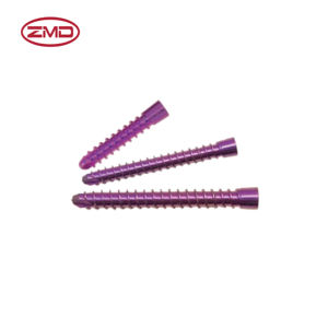 Veterinaire Hc 4.0Mm Titaniumlegering Borgschroef (T15 Kruisvormig)-Betrouwbaar Orthopedisch Implantaat - Product Image 2