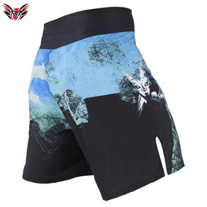 Customized Logo Printing High Quality Light Weight Latest Design 2023 Customized Material <b>Men</b> MMA <b>Shorts</b> - Product Image 3