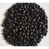 Haricots noirs brésiliens séchés 100% naturels riches en protéines, vente en gros à bas prix, 50 kg