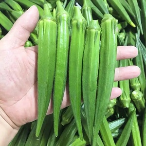 Okra Fresca Orgánica en Oferta, Congelada a Granel, 3 kg - Product Image 3