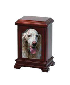 Urne funéraire moderne de style américain pour animaux de compagnie, urne de haute qualité pour cendres de chat et de chien avec cadre photo de qualité, fournitures funéraires - Product Image 1