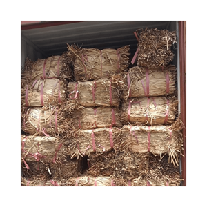 MATÉRIEL DE HYACINTHE D'EAU SÉCHÉE POUR ARTISANAT/HYACINTHE D'EAU SÉCHÉE AVEC UNE HAUTE QUALITÉ ET UN PRIX CONCURRENTIEL À PARTIR DE 99GD - Product Image 4