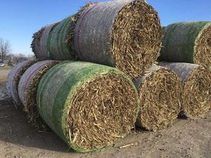 Foin d'alfalfa naturel de qualité supérieure pour chevaux et bovins, prix compétitif, emballage de 25 kg/sac pour les importateurs mondiaux - Product Image 5