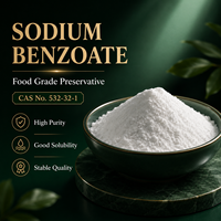Fournisseur d'usine Benzoate de sodium en poudre CAS 532-32-1 Conservateur de qualité alimentaire Sac de 25 kg Pureté 99% Durée de conservation 24 mois