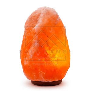 Lampe de sel de l'Himalaya naturelle pour la décoration intérieure, écologique, de haute qualité, sculptée, en vente en ligne - Product Image 2