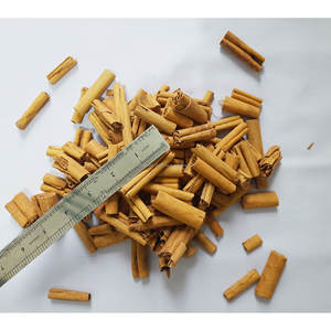 ออลสไปซ์สติกสดขนาด5นิ้วของแท้เกรด H1 100% ส่งตรงจากศรีลังกา - Product Image 6