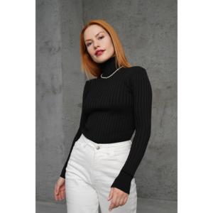 Pull col roulé côtelé noir pour femme Lustrin, vente en gros, avec design détaillé, idéal pour la collection automne-hiver - Product Image 1