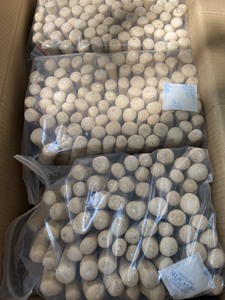 Coffee <b>Tree</b> Bone Chew Stick for dogs Gorilla made of Coffee wood from VietNam - Product Image 6