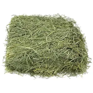 We Offer quality Dry Hay for Sale for Horses in a Variety of Sizes
