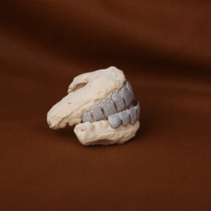 Exclusif Moissanite Diamond Grillz Faites une déclaration avec Bling glacé pour toute performance - Product Image 5