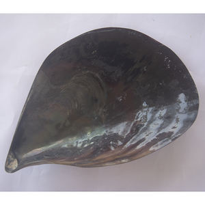 Grand stylo noir en coquille polie, bijoux en coquille naturelle de grande taille avec motif, artisanat naturel fait à la main - Product Image 4