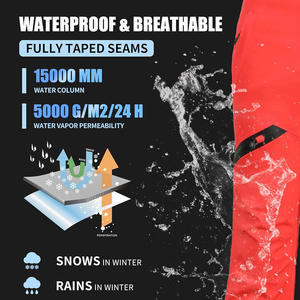 Baberos de esquí hechos a medida para mujer, pantalones de nieve aislados impermeables con etiqueta privada e impresión de logotipo para esquiar y hacer snowboard - Product Image 5