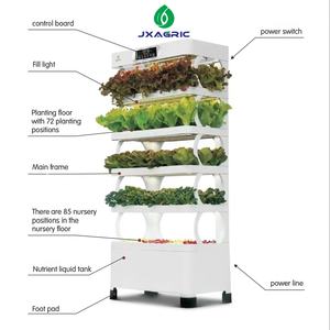 Armoire de culture hydroponique d'intérieur, système de culture de plantes intelligent à LED, <span class=keywords><strong>jardin</strong></span> vertical pour laitue, herbes, <span class=keywords><strong>salade</strong></span>, légumes, usage domestique - Product Image 5