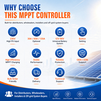 MPPT Solar-Laderegler 30A 60A 120A 230V PV-Eingang 12V-96V Batterie LCD-Display Tastensteuerung OEM ODM Lieferung