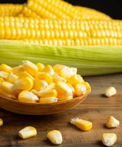 ข้าวโพดเหลืองแห้งสำหรับอาหารสัตว์ |   ข้าวโพดเหลืองเกรดอาหารสัตว์ จำหน่ายจำนวนมาก - Product Image 1