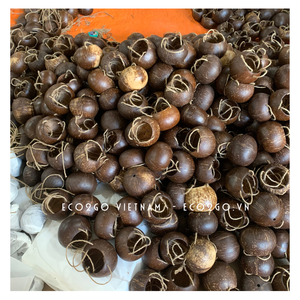 ¡Venta 2025! Maceta de cáscara de coco ecológica/Planta de maceta de cáscara de coco/Planta colgante de cáscara de coco hecha en Vietnam - Product Image 2