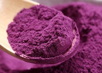 Poudre de patate douce violette de qualité supérieure | Poudre d'igname violette 100% naturelle pour applications alimentaires, boissons et pâtisseries