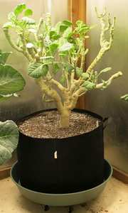 Sacs de culture en tissu robustes de 1 gallon avec poignées en ruban, pots en tissu aérés pour plantes - Product Image 6