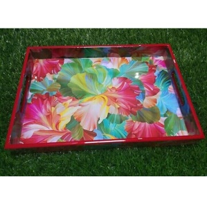 Plateaux en résine d'incrustation décorative indienne faite à la main pour la maison et les hôtels plateau de service décoratif dernier plateau à thé Design multicolore - Product Image 2