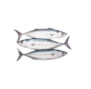 Atún congelado Premium Mariscos congelados de alta calidad para exportación Suministro a granel para restaurantes y mercados Envío global - Product Image 3