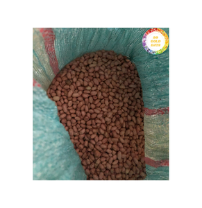 Cacahuetes secos granos cuidadosamente seleccionados adecuados para asar freír y aperitivos envasados Vietnam - Product Image 4