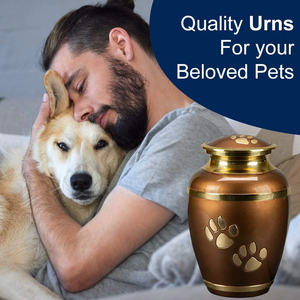 Urnes de crémation en forme de patte d'or pour chiens et chats, en laiton de meilleure qualité pour animaux de compagnie - Product Image 4