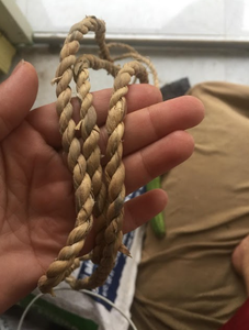 Corde en jacinthe d'eau naturelle avec des qualités durables pour l'emballage de meubles et des utilisations décoratives - Product Image 5