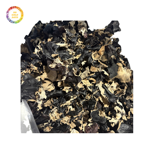 Hongo de oído de nube asequible con estándares de calidad superior para un rendimiento excepcional - Product Image 6