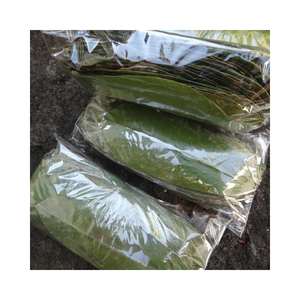 การผสมผสานการใช้เครื่องดื่มสมุนไพรในตลาดชานานาชาติ - Product Image 1