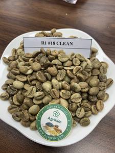 Granos de Café Verde Robusta Lavados de la Cosecha 2025, Calibre 18, en Bolsa de Yute a Granel, Certificación ISO, Empresa Vietnamita Agrikim - Product Image 4