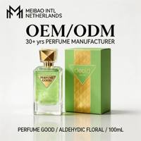 Deold en stock, logo OEM personnalisé, vente en gros, parfum pour femmes 100ml, feuille verte, EDP longue durée