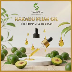 Aceite de Ciruela Kakadu Prensado en Frío al por Mayor, Grado Cosmético para el Cuidado de la Piel, Formulaciones de Belleza, Compradores Internacionales, Calidad Consistente - Product Image 4