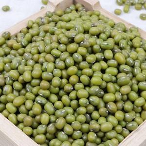High Quality Organic <b>Green</b> Mung Beans Dried Style Packaged in Bulk - Product Image 4