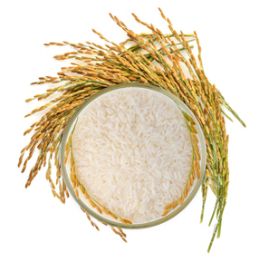 Livraison rapide sur du riz Basmati aromatique parfait pour toutes les cuisines avec une élégance à grain long et une saveur supérieure - Product Image 3