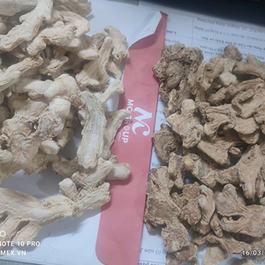 Raíz de jengibre seco a granel de Bao Tram Anh Company de suministro de productos agrícolas frescos de Vietnam - Product Image 1