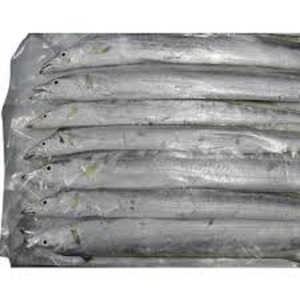 Cinta congelada para pescado cinta redonda entera Exportadores de pescado a la venta .. - Product Image 1